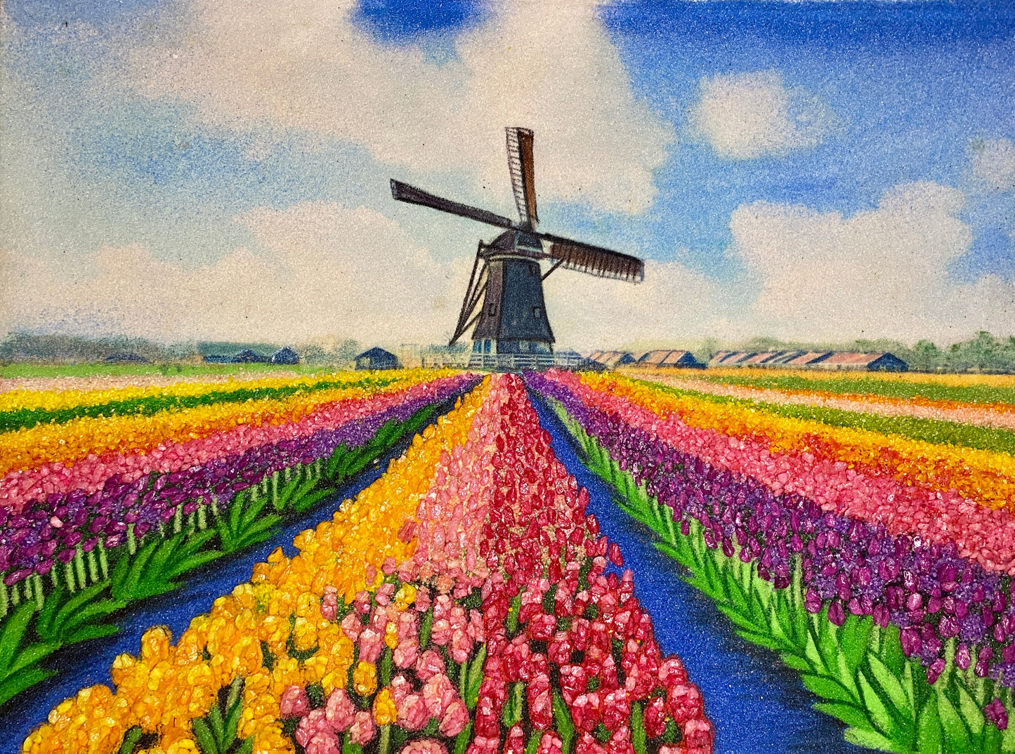 Tulip Farm