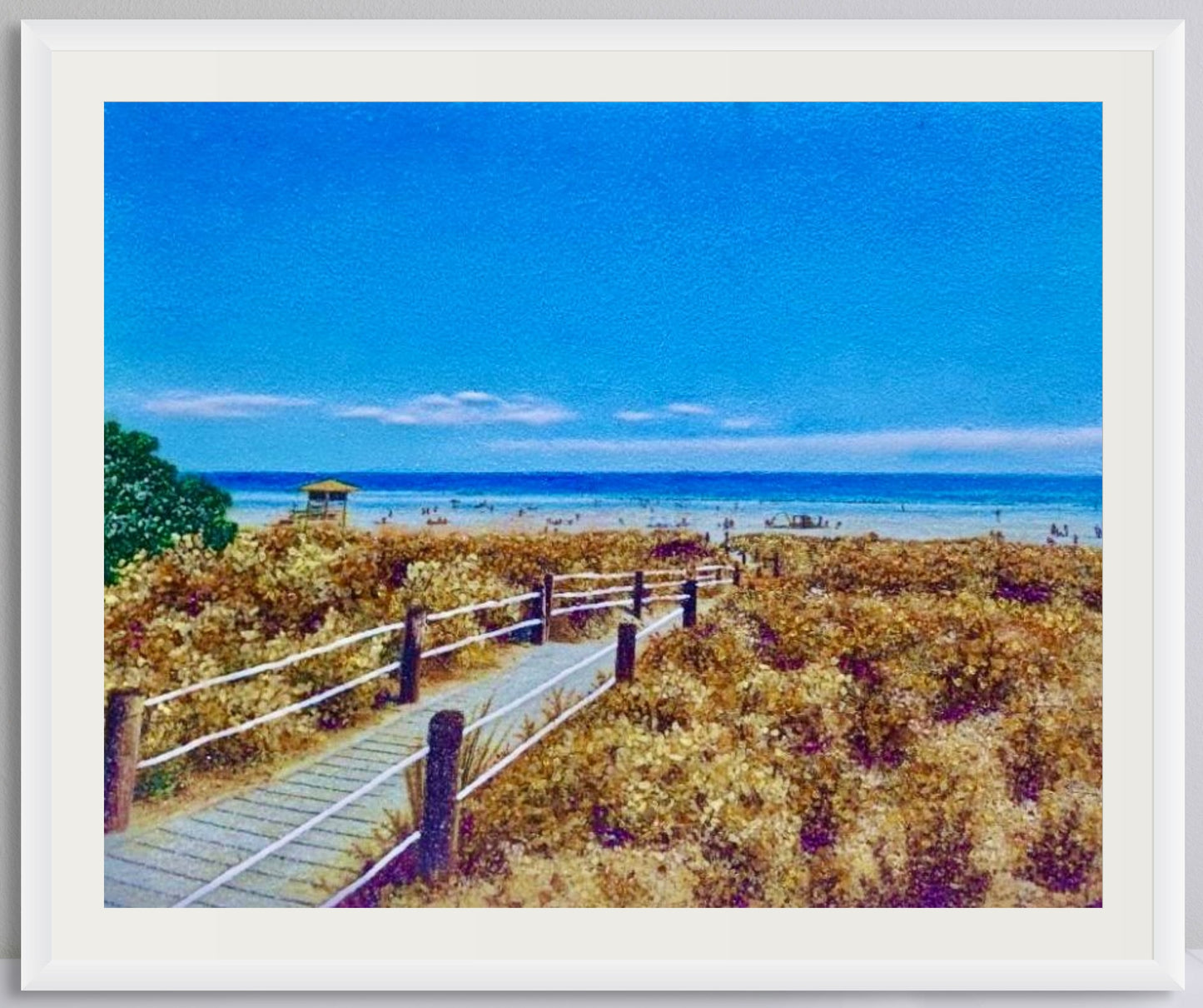 Tay Street Beach Reserve