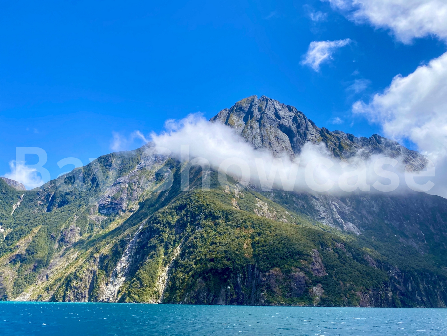 Sails in Milford’s Sky