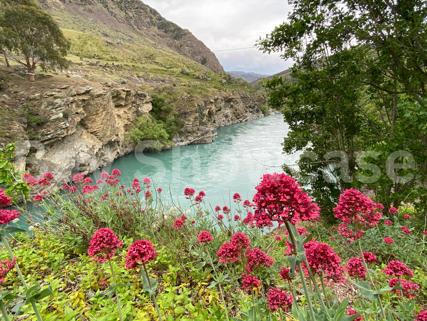 Kawarau River View