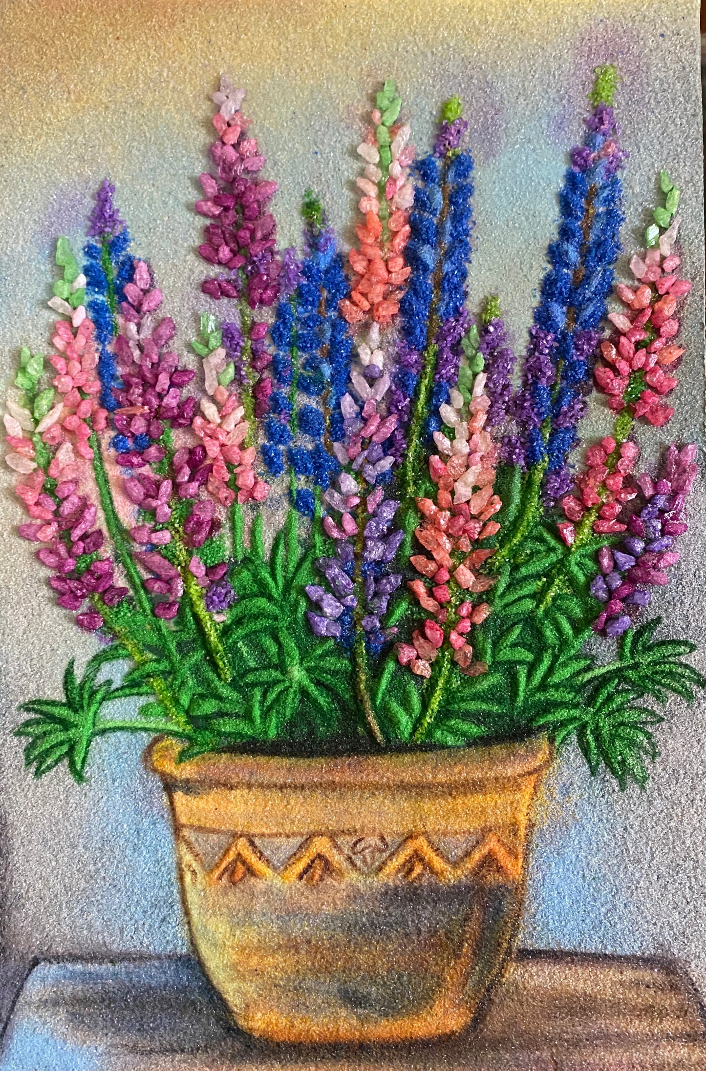 Lupines Pot