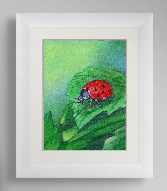 Ladybird