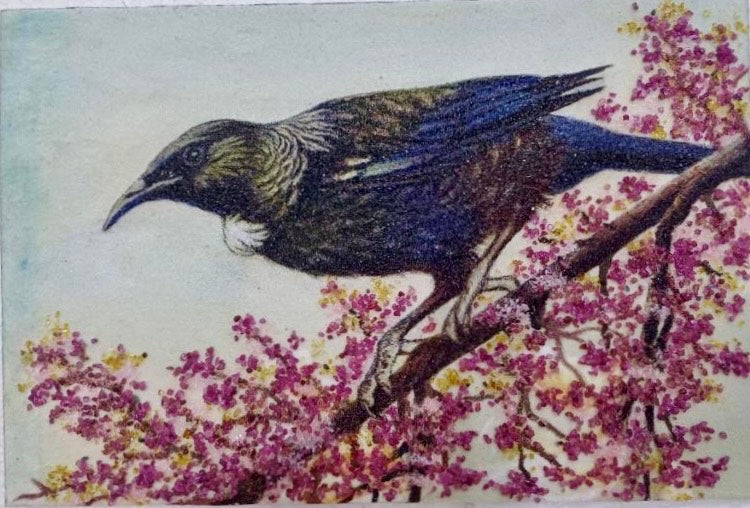 Tūī on and Cherry Blossom