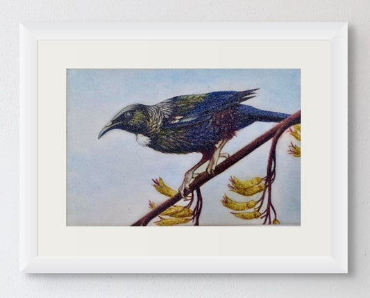 Tūī on a Kōwhai Tree