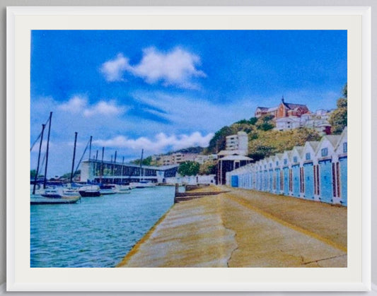 Oriental Bay Boat Sheds